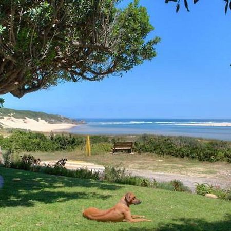 Milkwood Manor B & B Kenton on Sea Exterior photo